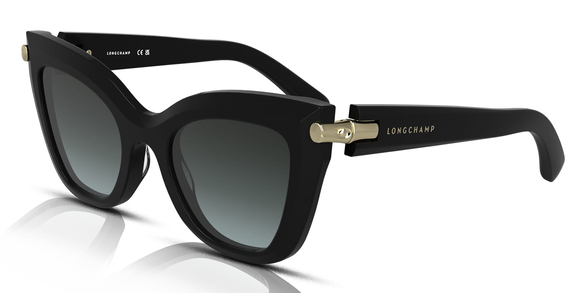 サングラス LONGCHAMP Woman Sunglasses Black LO733S 001 Longchamp LO733S – giarre.com