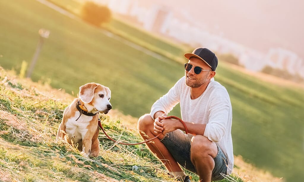 UK dog walks to try this bank holiday weekend